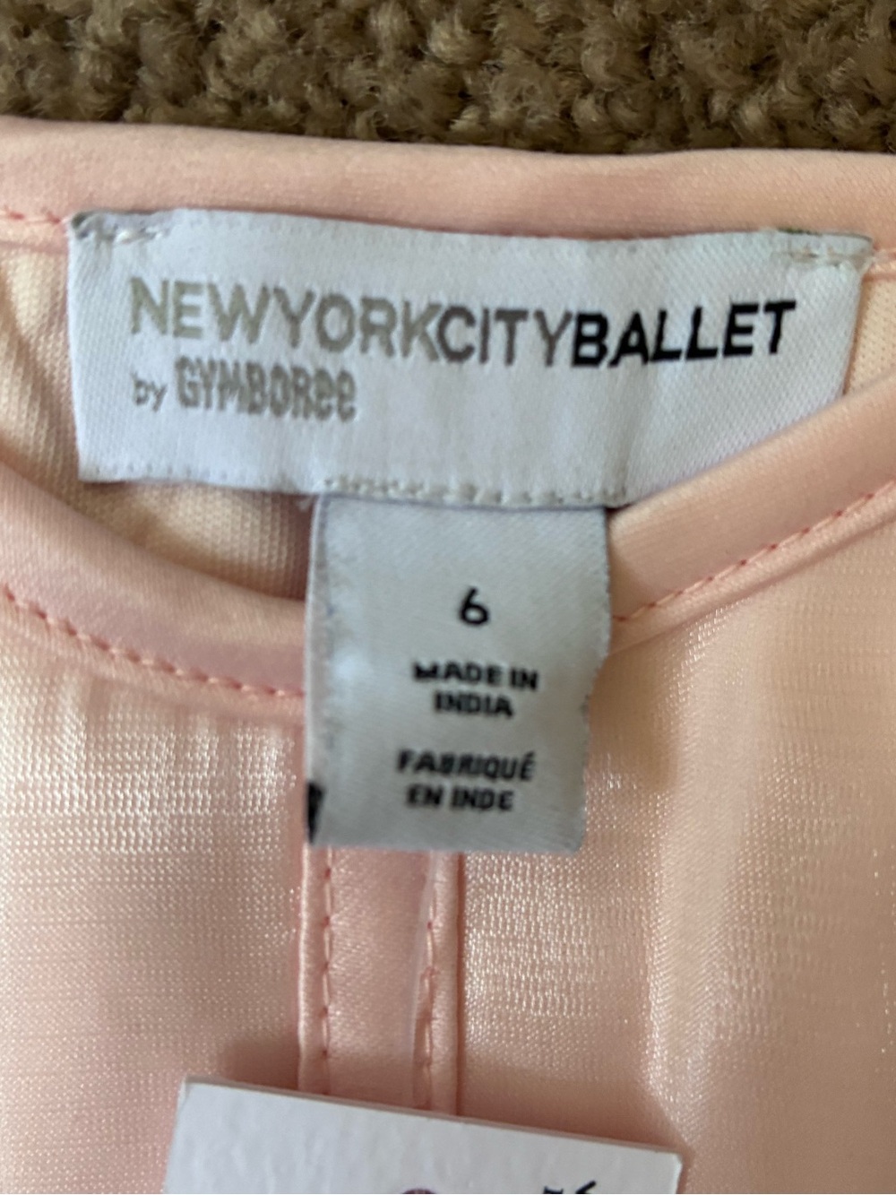 Gymboree New York City Ballet Light Pink Girls Party Dress with Floral Accent - Picture 2 of 4